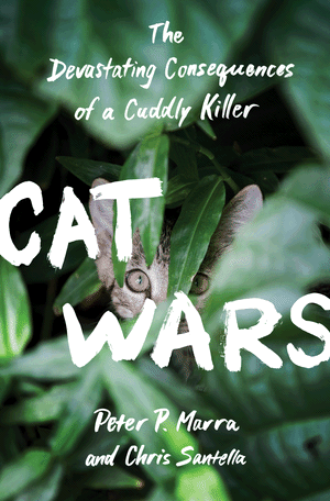 Cover of Cat Wars book