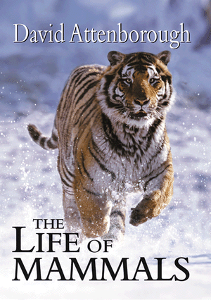 Re: BBC: Zivot savcu / BBC: The Life of Mammals (2002)
