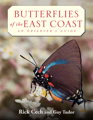 Butterflies of the East Coast: An Observer's Guide Rick Cech and Guy Tudor