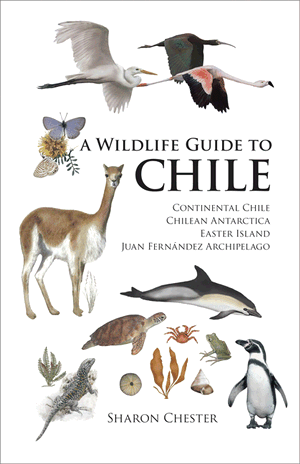 wildlife in chile