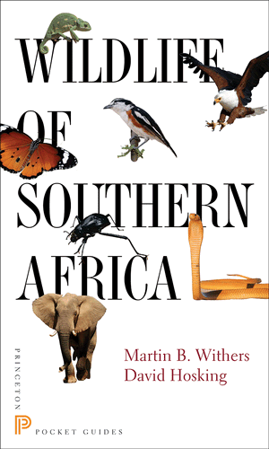 Wildlife of Southern Africa (Princeton Pocket Guides) Martin B. Withers and David Hosking