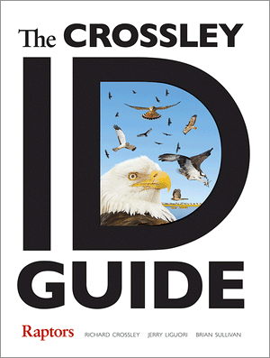 The Crossley ID Guide: Raptors (Crossley Id Guides) Jerry Liguori and Brian Sullivan