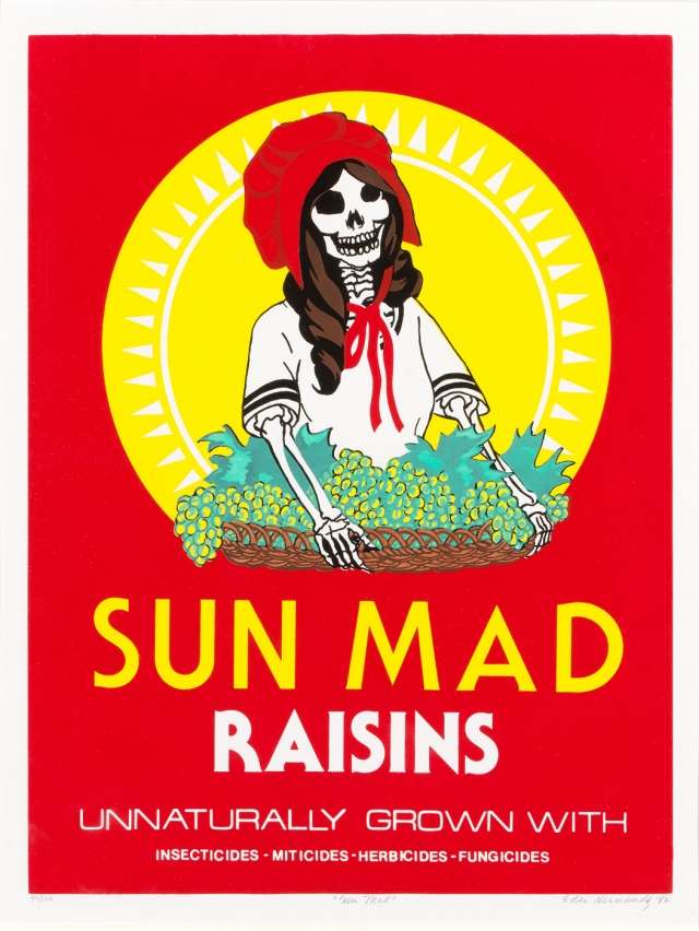 Sun Mad by Ester Hernandez