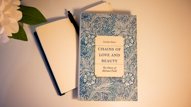 Chains of Love and Beauty front cover