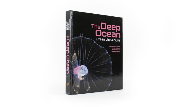 The Deep Ocean front cover