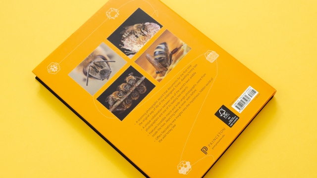 Wild Honey Bees back cover