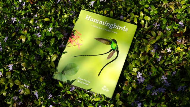 Hummingbirds - front cover