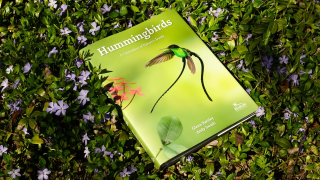 Hummingbirds - front cover closeup