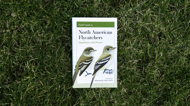 North American Flycatchers front cover
