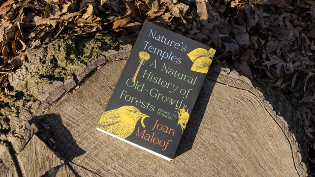Nature's Temples front cover