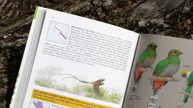 Birds of Costa Rica - top left of page, Resplendent Quetzal entry with text and images