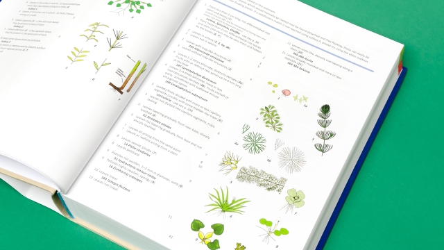 Aquatic Plants right facing page spread with text and images