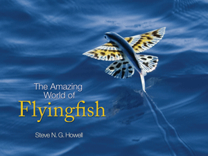 The Amazing World of Flyingfish – book review