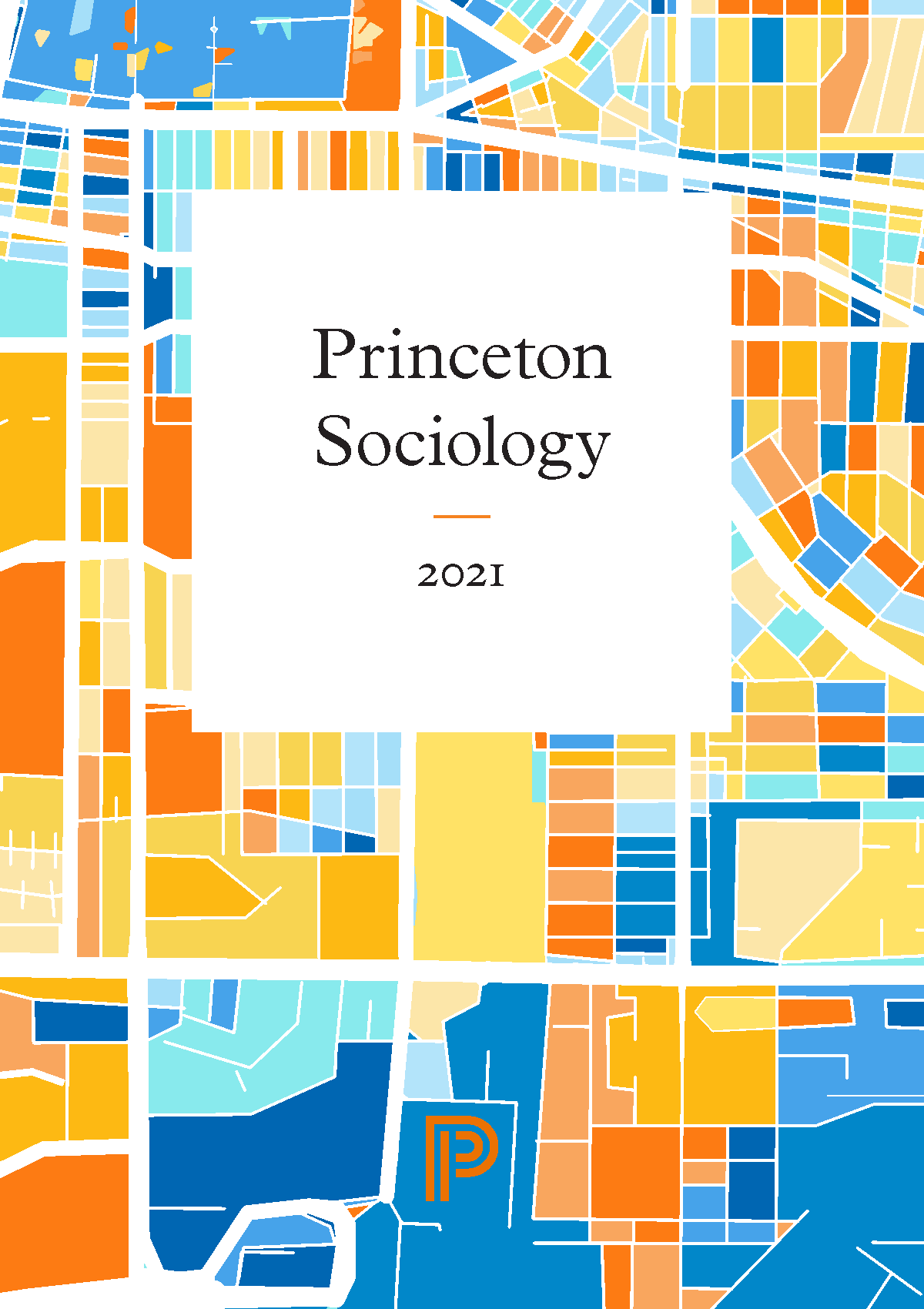 sociology phd princeton