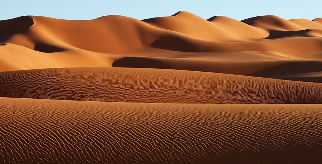 An expanse of orange sand dunes