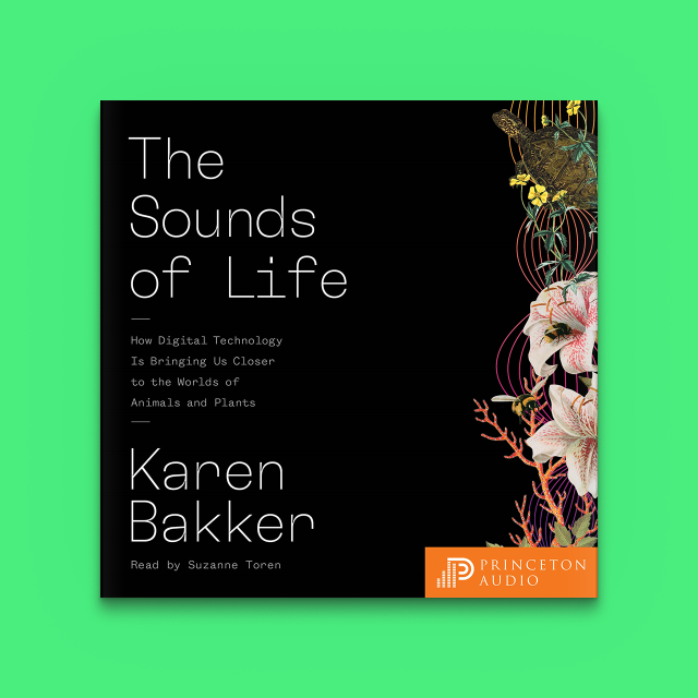 Listen in: The Sounds of Life