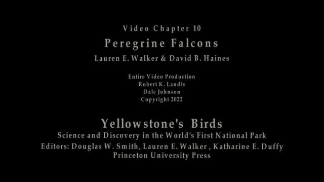 Chapter 10 - Peregrine Falcons