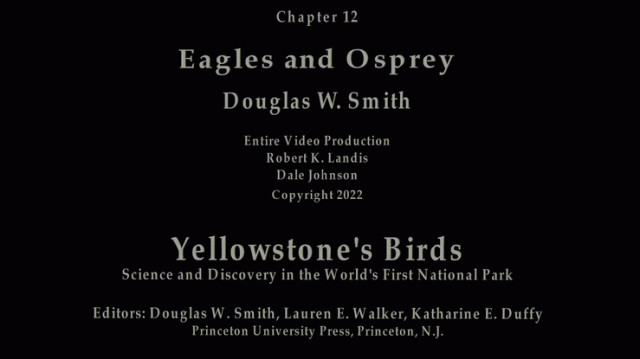 Chapter 12 Eagles & Osprey, Douglas W. Smith