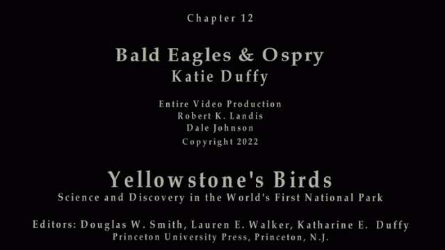 Chapter 12 Bald Eagles & Osprey, Katharine E. Duffy