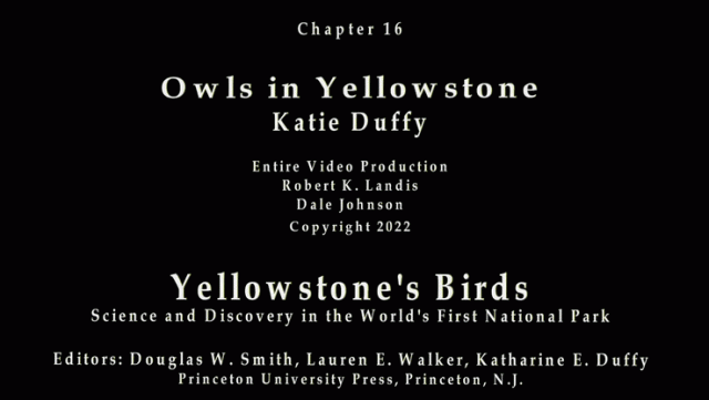 Chapter 16 Owls in Yellowstone