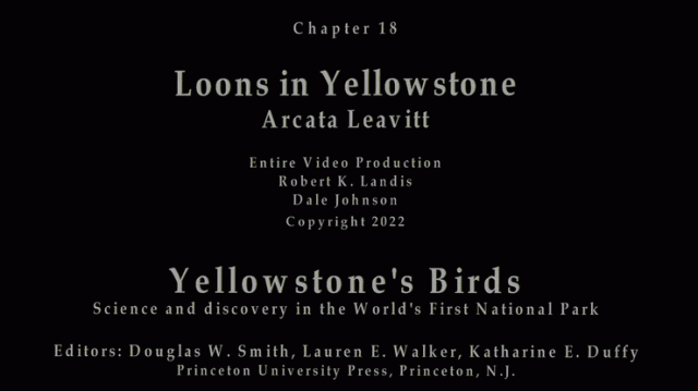Chapter 18 Loons in Yellowstone title screen