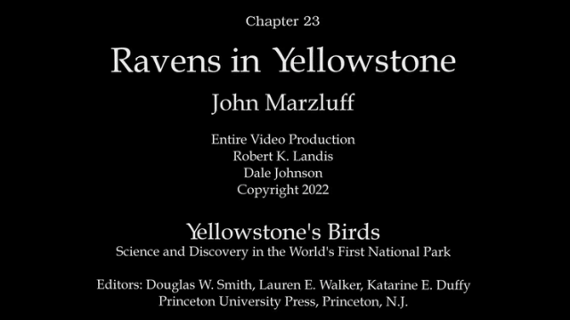 Chapter 23 Ravens in Yellowstone title screen