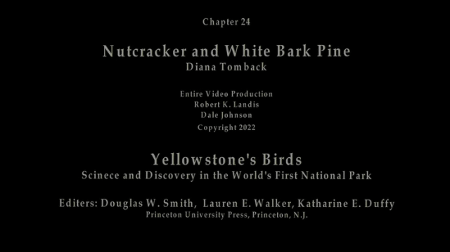 Chapter 24 Nutcracker and Whitebark Pine title screen