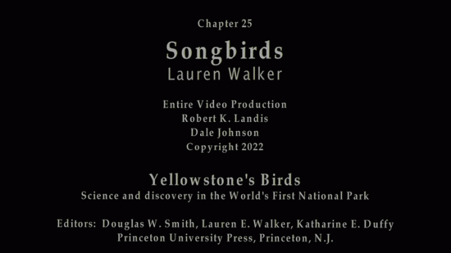 Chapter 25 Songbirds title screen