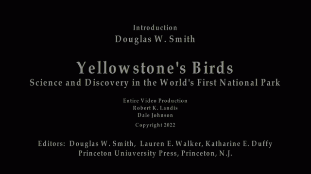 Yellowstone's Birds - Introduction, Douglas W. Smith