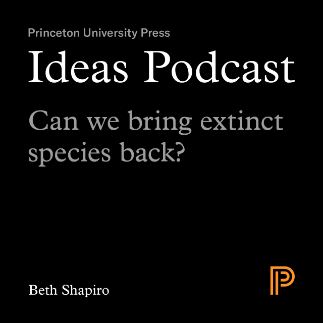 Ideas Podcast Episode 6