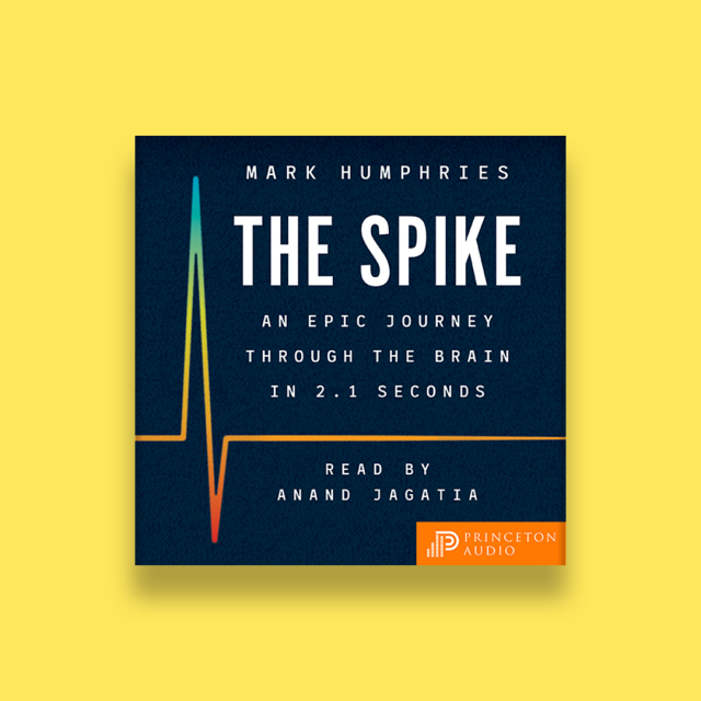 audiobook cover for The Spike