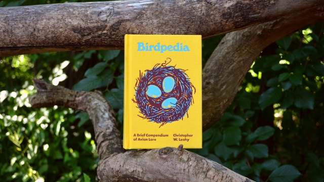 Birdpedia - front cover
