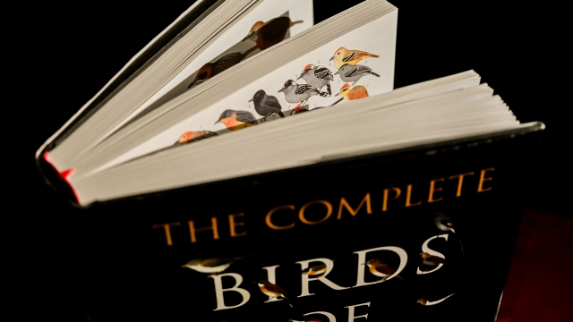 Complete Birds of the World edge