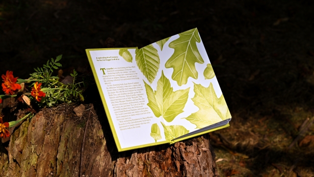 Treepedia book endpaper
