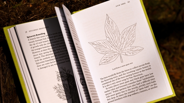 Treepedia book page with leaf