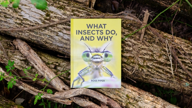 What Insects Do and Why Book Cover