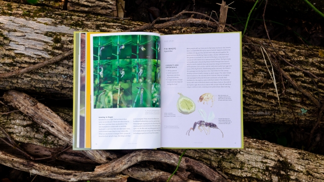 What Insects Do and Why open book