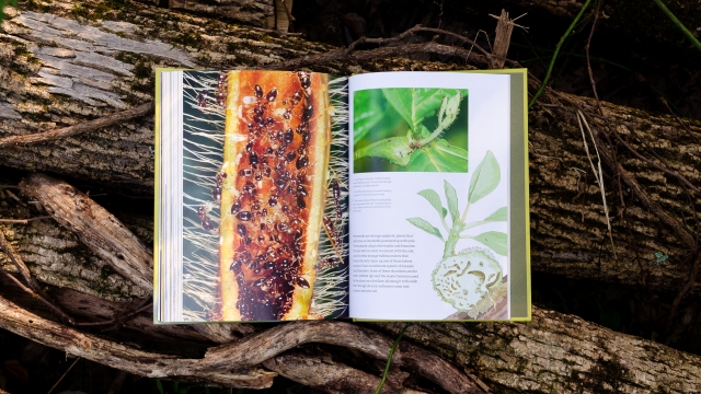 What Insects Do and Why open book on log