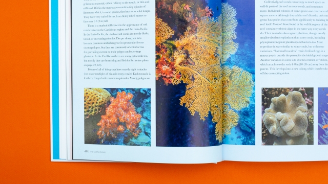Coral Reefs open page bottom left
