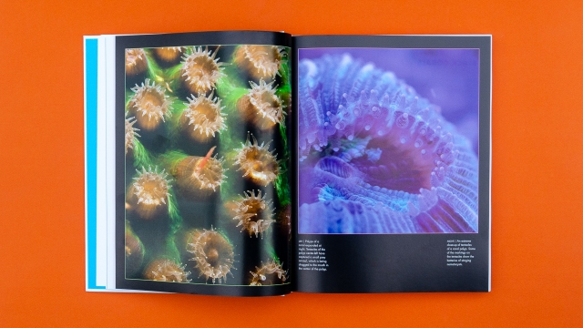 Coral Reefs open book page spread 1