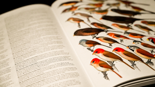 Complete Birds of the World open book