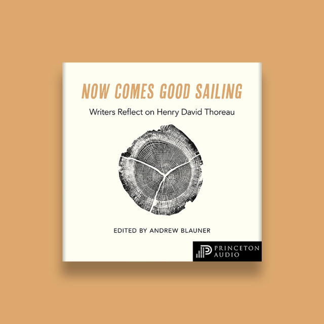 Now Comes Good Sailing audiobook cover