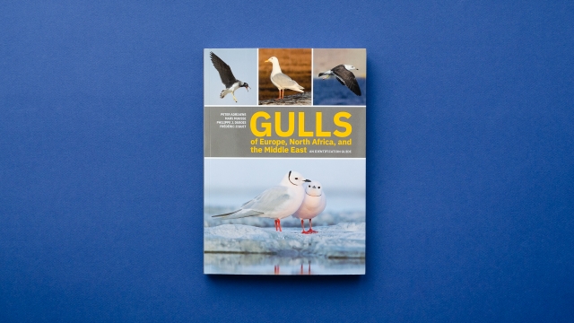 Gulls of Europe, North Africa, and the Middle East front cover