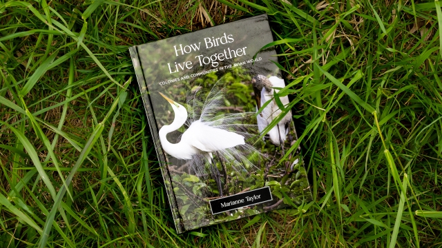 How Birds Live Together front cover