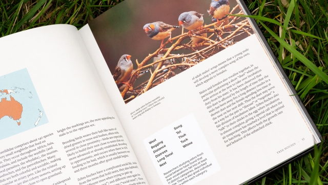 How Birds Live Together - Page spread of adult zebra finches