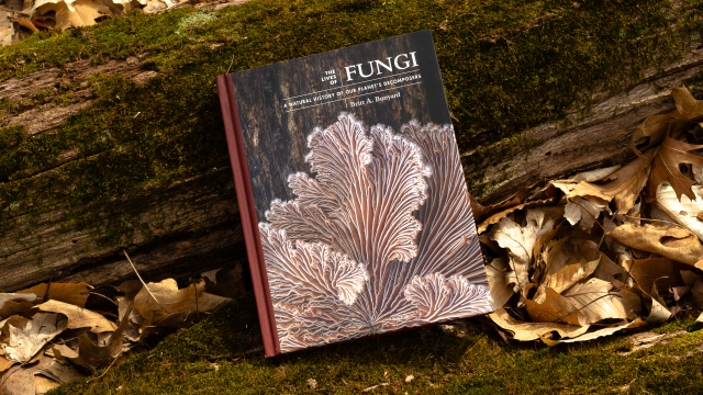 The Lives of Fungi - front cover