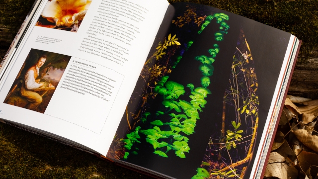 The Lives of Fungi - green fungi illustration