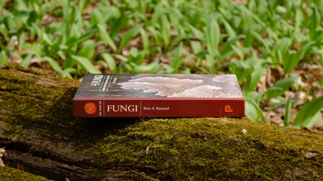 The Lives of Fungi - spine