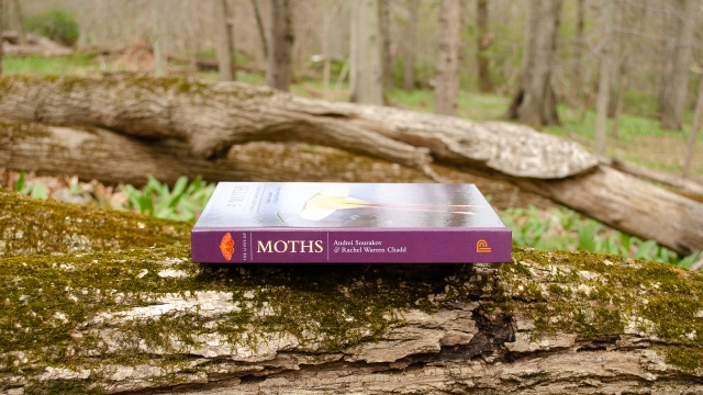 The Lives of Moths - spine