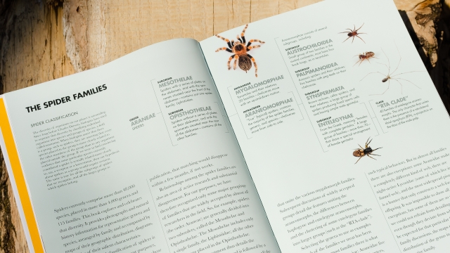 Spiders of the World- The Spider Families page spread